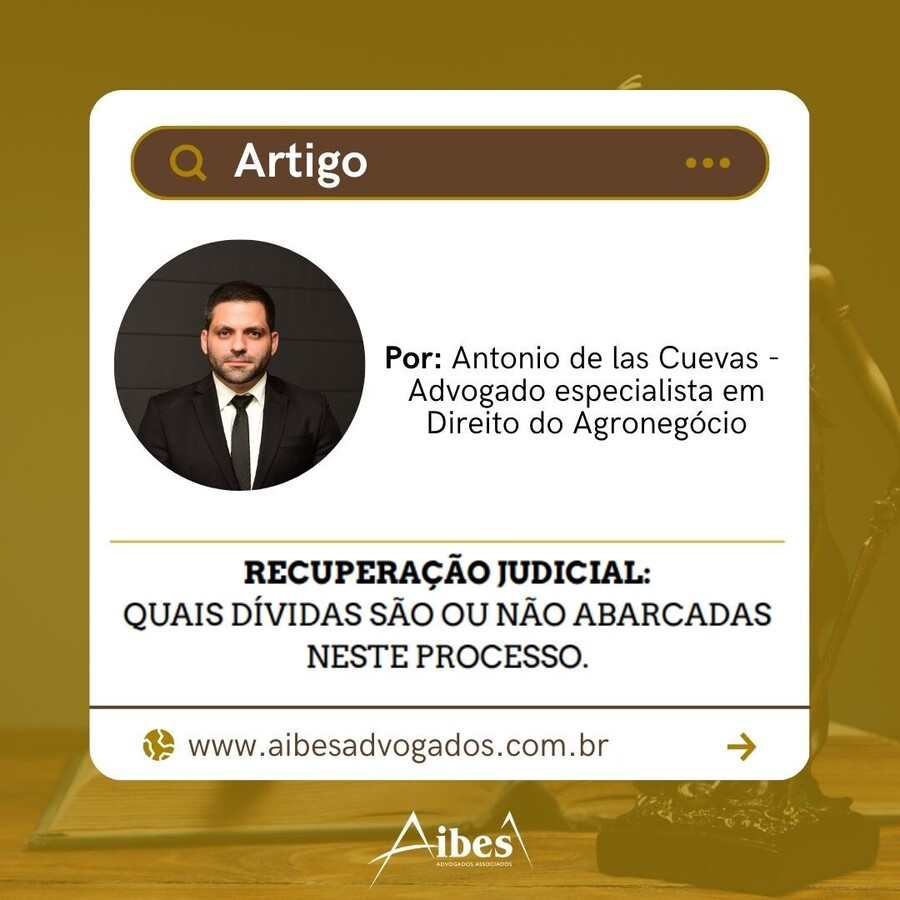 Recuperação Judicial: Quais dívidas são ou não abarcadas neste processo