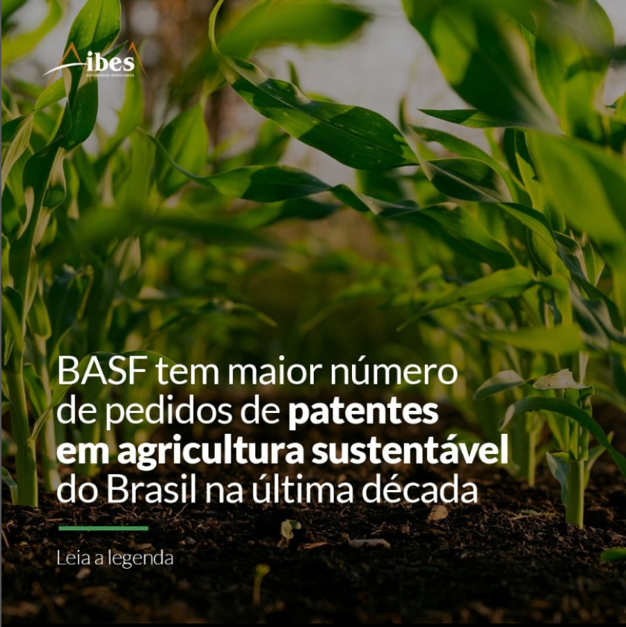 BASF tem maior número de pedidos de patentes em agricultura sustentável do Brasil na última década