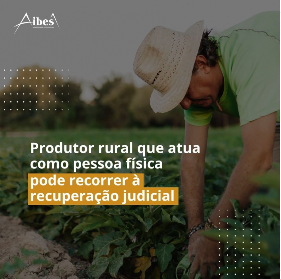 Produtor rural que atua como pessoa física pode recorrer à recuperação judicial