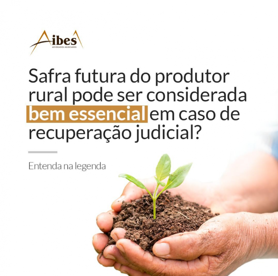 Safra futura do produtor rural pode ser considerada bem essencial em caso de recuperação judicial?