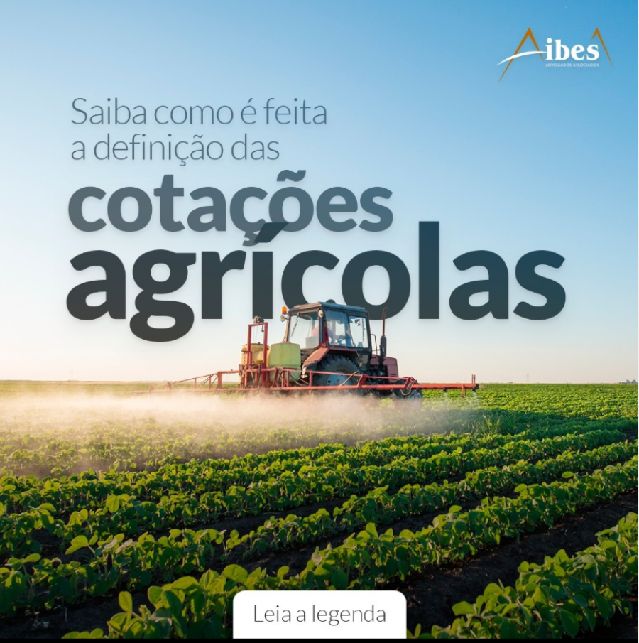 Saiba como é feita a definição das cotações agrícolas