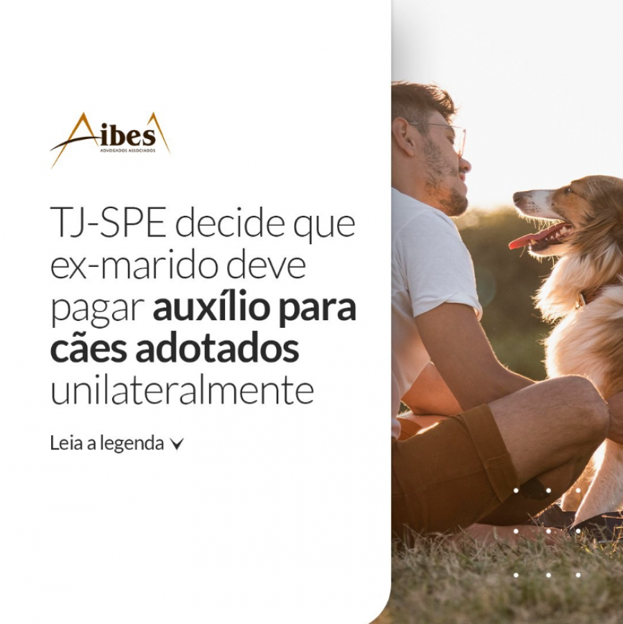 TJ-SPE decide que ex-marido deve pagar auxílio para cães adotados unilateralmente